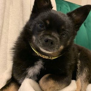 Meet your Posher, Ena